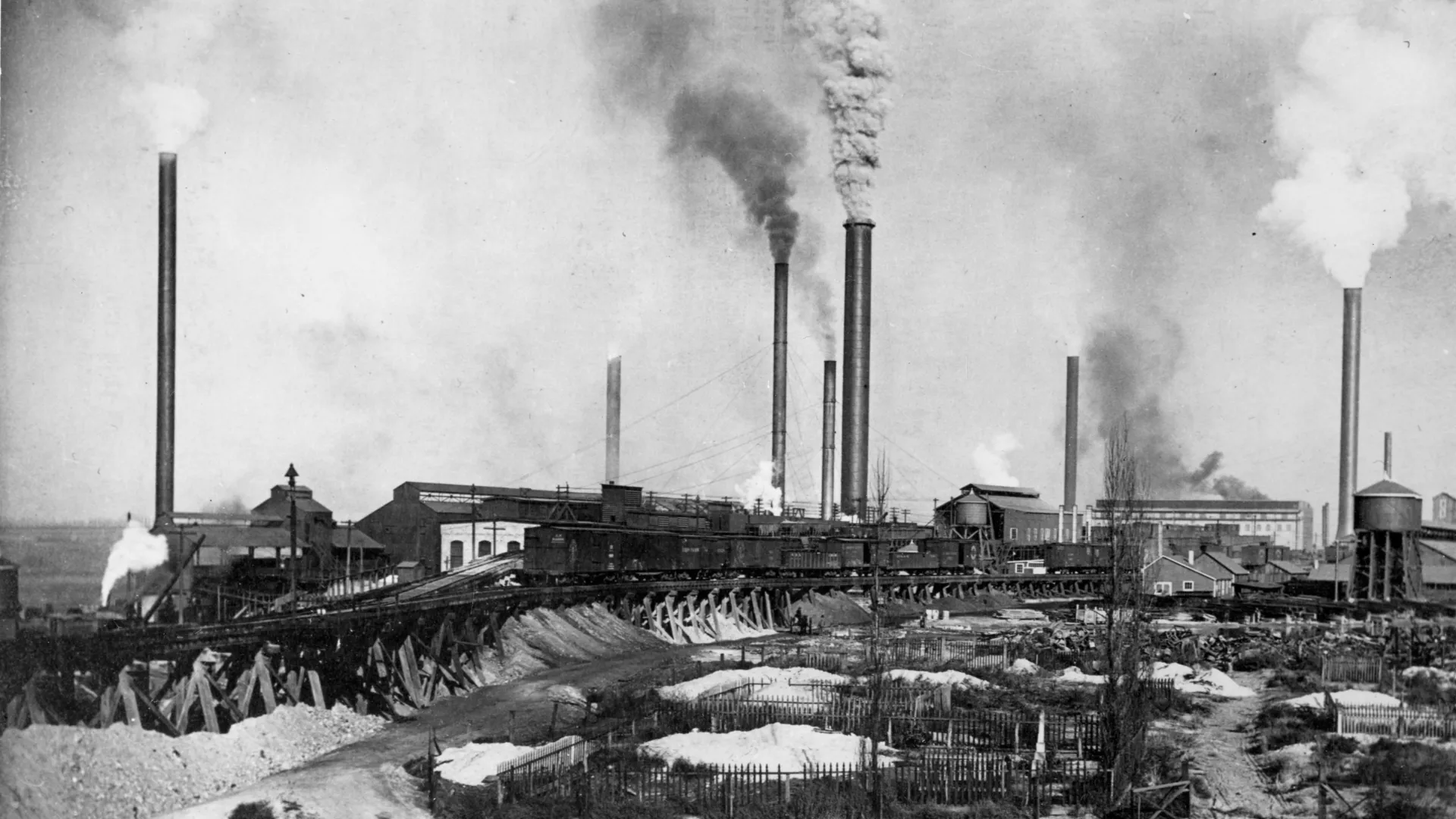 Hair Reveals America’s Toxic Lead Past